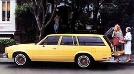 1980 Chevrolet Malibu Wagon